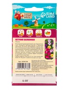 Семена цветов Петуния "Балконная", 0,05 г - Фото 6