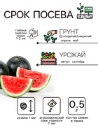 Семена Арбуз "Огонек", 0,5 г - Фото 2