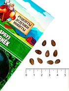 Семена Арбуз "Огонек", 0,5 г - Фото 5