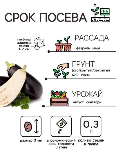 Семена Баклажан «Универсал 6», 0.1 г, «Рецепты дедушки Никиты»