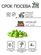 Семена Горох «Динга», 4 г, «Рецепты дедушки Никиты» - Фото 2