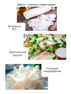 Семена Дайкон "Нацукаши", 1 г - Фото 3