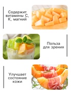 Семена Дыня "Колхозница 749/753", 0,3 г - Фото 3