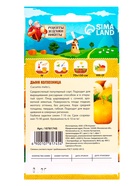 Семена Дыня "Колхозница 749/753", 0,3 г - Фото 7