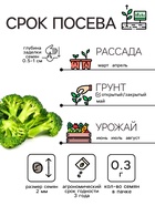 Семена Капуста брокколи "Тонус", 0,3 г - Фото 2