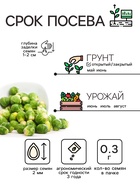 Семена Капуста брюссельская "Розелла", 0,3 г - Фото 2
