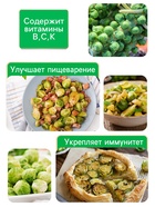 Семена Капуста брюссельская "Розелла", 0,3 г - Фото 3