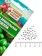 Семена Капуста брюссельская "Розелла", 0,3 г - Фото 5