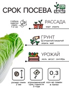 Семена Капуста пекинская «ЧА-ЧА», 0.3 г - Фото 2