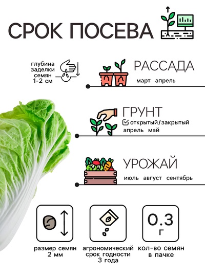 Семена Капуста пекинская ЧА-ЧА, 0,3 г