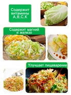 Семена Капуста пекинская «ЧА-ЧА», 0.3 г - Фото 3