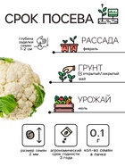 Семена Капуста цветная "Мовир 74", 0,1 г - Фото 2