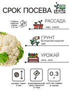 Семена Капуста цветная «Сноуболл 123», 0.3 г, скороспелая, «Рецепты дедушки Никиты» - Фото 2