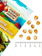 Семена Кукуруза «Краснодарский сахарный 250 CB», 3 г, «Рецепты дедушки Никиты» - Фото 5