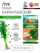 Семена Лук порей "Карантанский", 0,1 г (комплект 4 шт) - фото 32814954