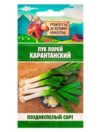 Семена Лук порей "Карантанский", 0,1 г - Фото 6