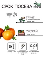 Семена Лук репчатый "Штуттгартер Ризен", 0,05 г - Фото 2
