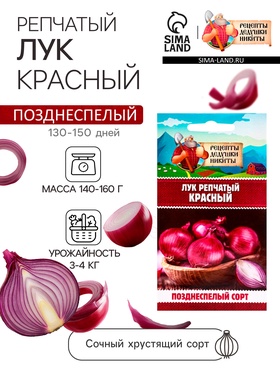 Семена Лук репчатый Красный, 0,3 г 10781767