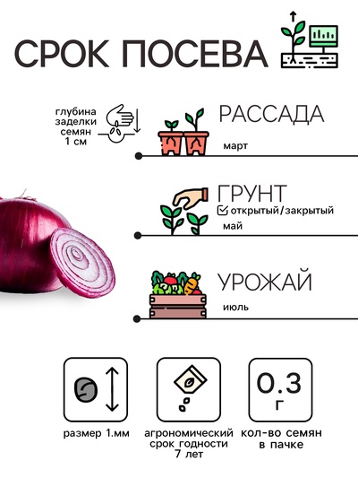 Семена Лук репчатый «Красный», 0.3 г, «Рецепты дедушки Никиты»