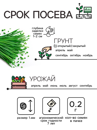 Семена Лук шнитт «Чемал», 0.2 г, «Рецепты дедушки Никиты»