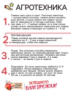 Семена Мангольд "Павлиний хвост", смесь, 1 г - Фото 4