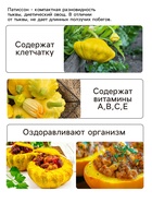 Семена Патиссон "Солнышко", 0,5 г - Фото 3