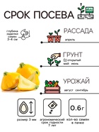 Семена Патиссон "Копейка", 0,6 г - Фото 2