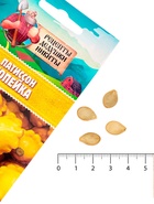 Семена Патиссон "Копейка", 0,6 г - Фото 5