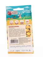 Семена Патиссон "Копейка", 0,6 г 10781784 - фото 15746787