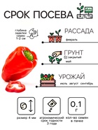 Семена Перец "Подарок Молдовы", 0,1 г - Фото 2