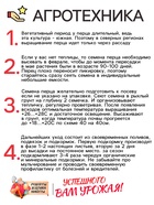 Семена Перец "Подарок Молдовы", 0,1 г - Фото 4