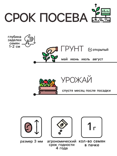 Семена Редис "Рубин", 1 г