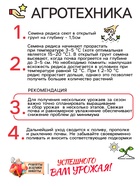 Семена Редис "Рубин", 1 г - Фото 4