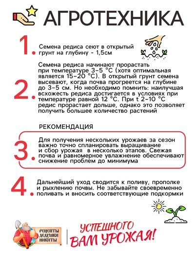 Семена Редис "Рубин", 1 г