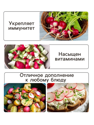 Семена Редис "Саксон", 1,5 г