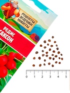Семена Редис "Саксон", 1,5 г - Фото 5