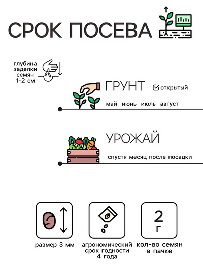 Семена Редис "Смак", 2 г