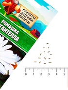 Семена Ромашка "Гигантелла", 0,01 г - Фото 5
