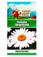 Семена Ромашка "Гигантелла", 0,01 г - Фото 6