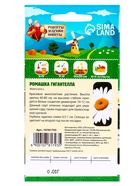 Семена Ромашка "Гигантелла", 0,01 г - Фото 7