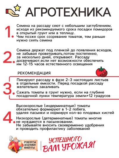 Семена Томат "Бычье сердце", 0,1 г