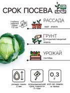 Семена Капуста белокочанная «Зимовка 1474», 0.1 г - Фото 2