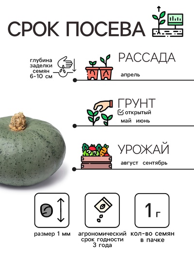 Семена Тыква «Крошка», 1 г, «Рецепты дедушки Никиты»