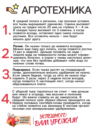 Семена Тыква «Крошка», 1 г, «Рецепты дедушки Никиты»
