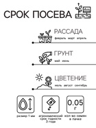 Семена цветов Алиссум "Снежный ковер", 0,05 г - Фото 2