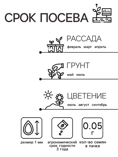 Семена цветов Алиссум "Снежный ковер", 0,05 г