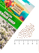 Семена цветов Алиссум "Снежный ковер", 0,05 г - Фото 5