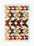 Вафельные картинки для украшения десертов и тортов «Бабочки», А5 - Фото 3