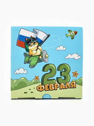 Подарочная коробка, упаковка «23 февраля», кот, 15×15×7 см