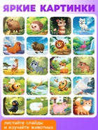 Адвент - календарь с проектором «Животные мира», 9 слайдов, 72 карточки - Фото 4